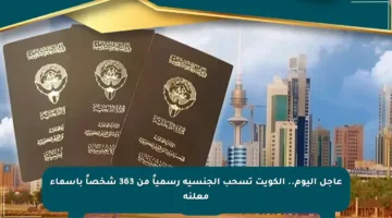 عاجل اليوم.. الكويت تسحب الجنسية رسمياً من 363 شخصاً بأسماء معلنة